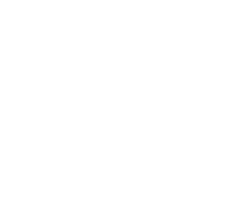ERP Revenue Stamp