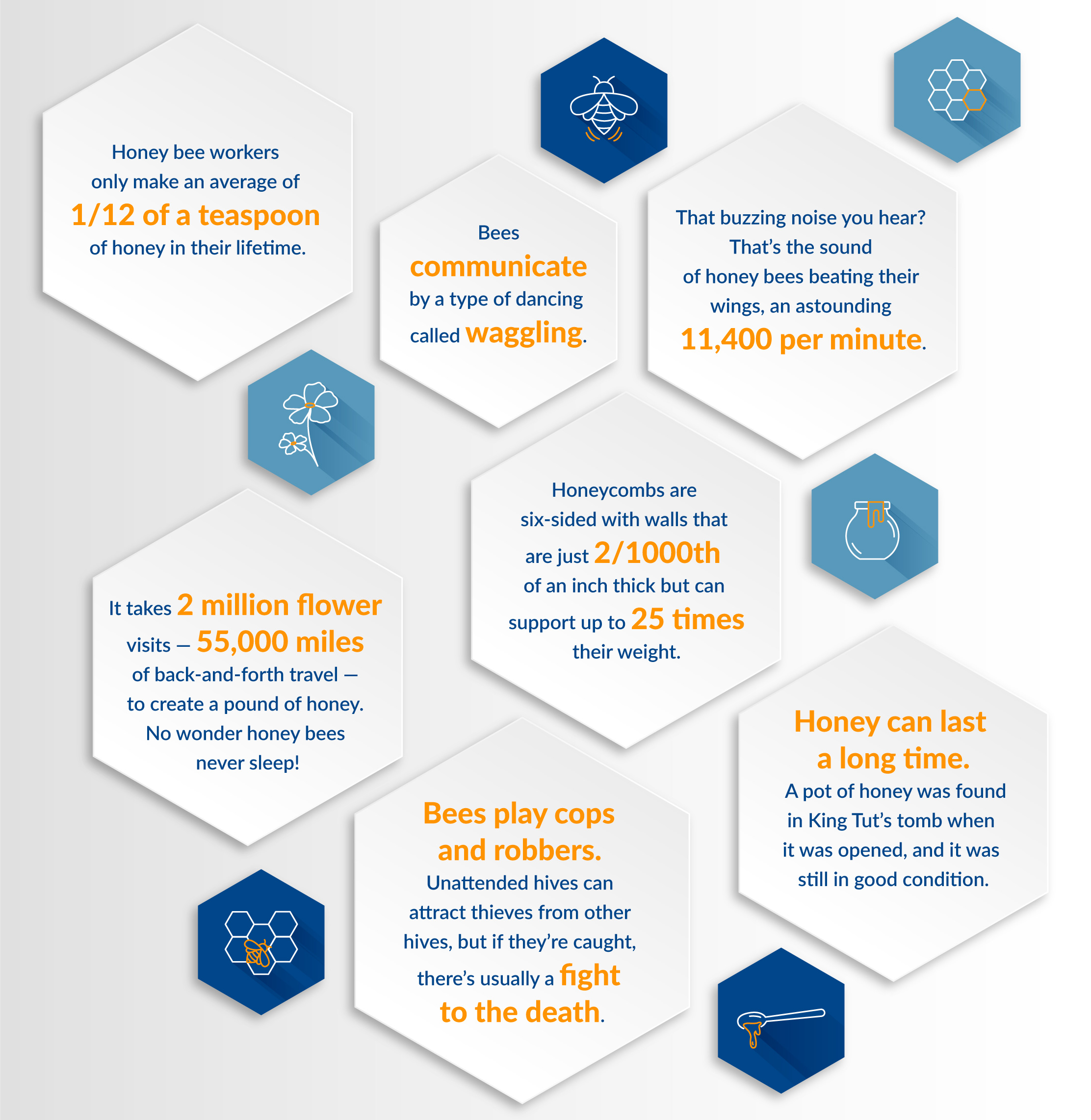 Bittersweet-Celebrating-National-Honey-Month_Infographic-3