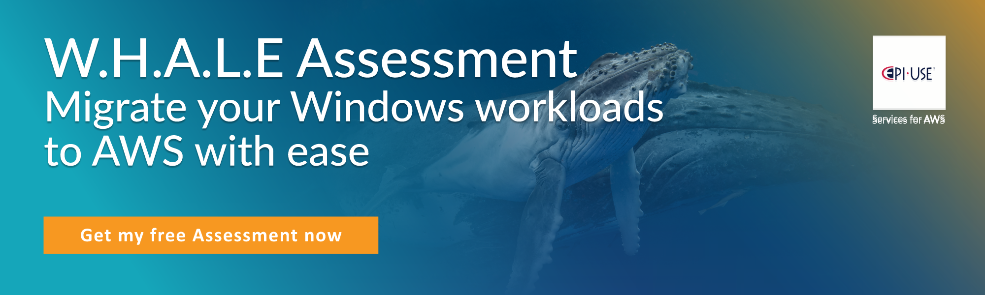 WHALE Assessment - migrating windows workloads to AWS