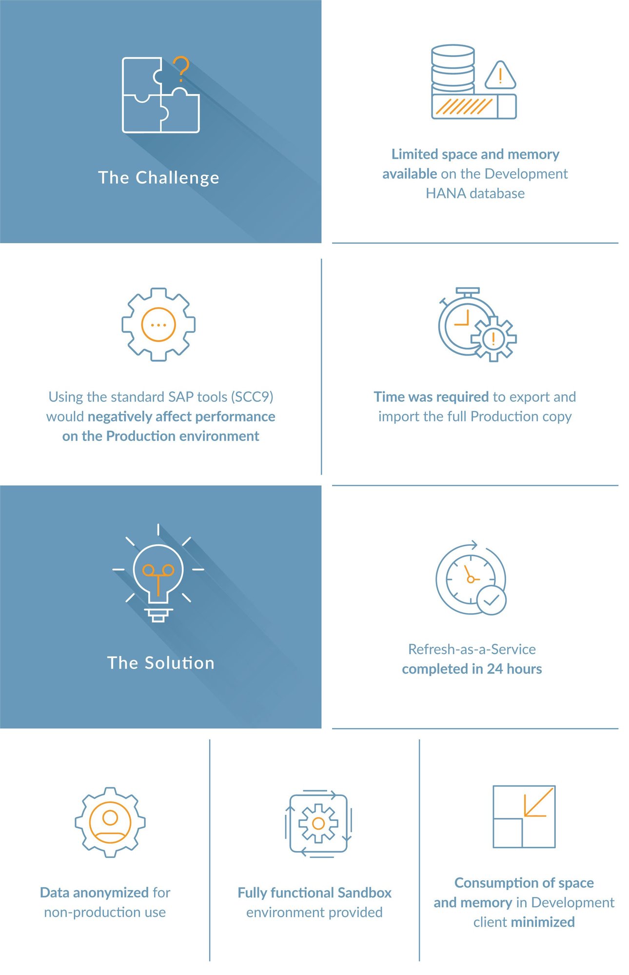 Allbirds-Infographic Allbirds-Infographic