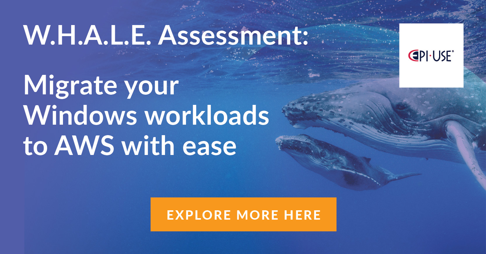 Social_Media_WHALE_ASSESSMENT2