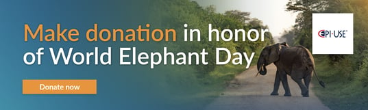 World Elephant Day CTA