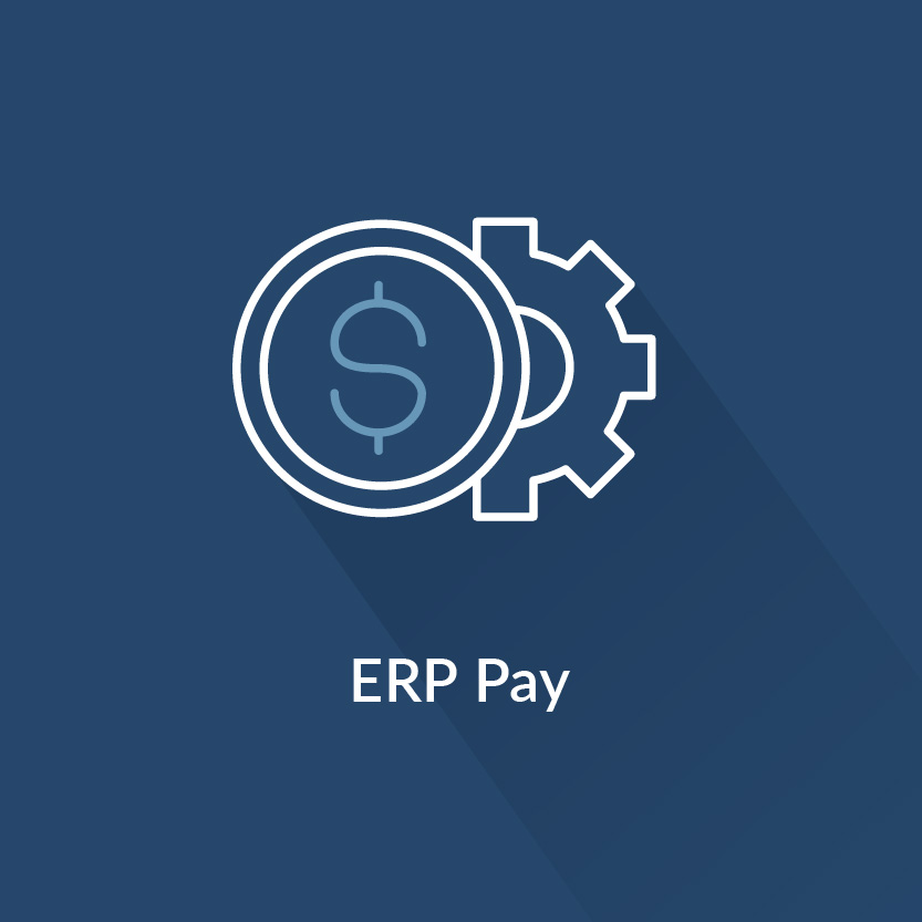 EU-Payment-Services-Icon-Shadows-RGB_ERP Pay