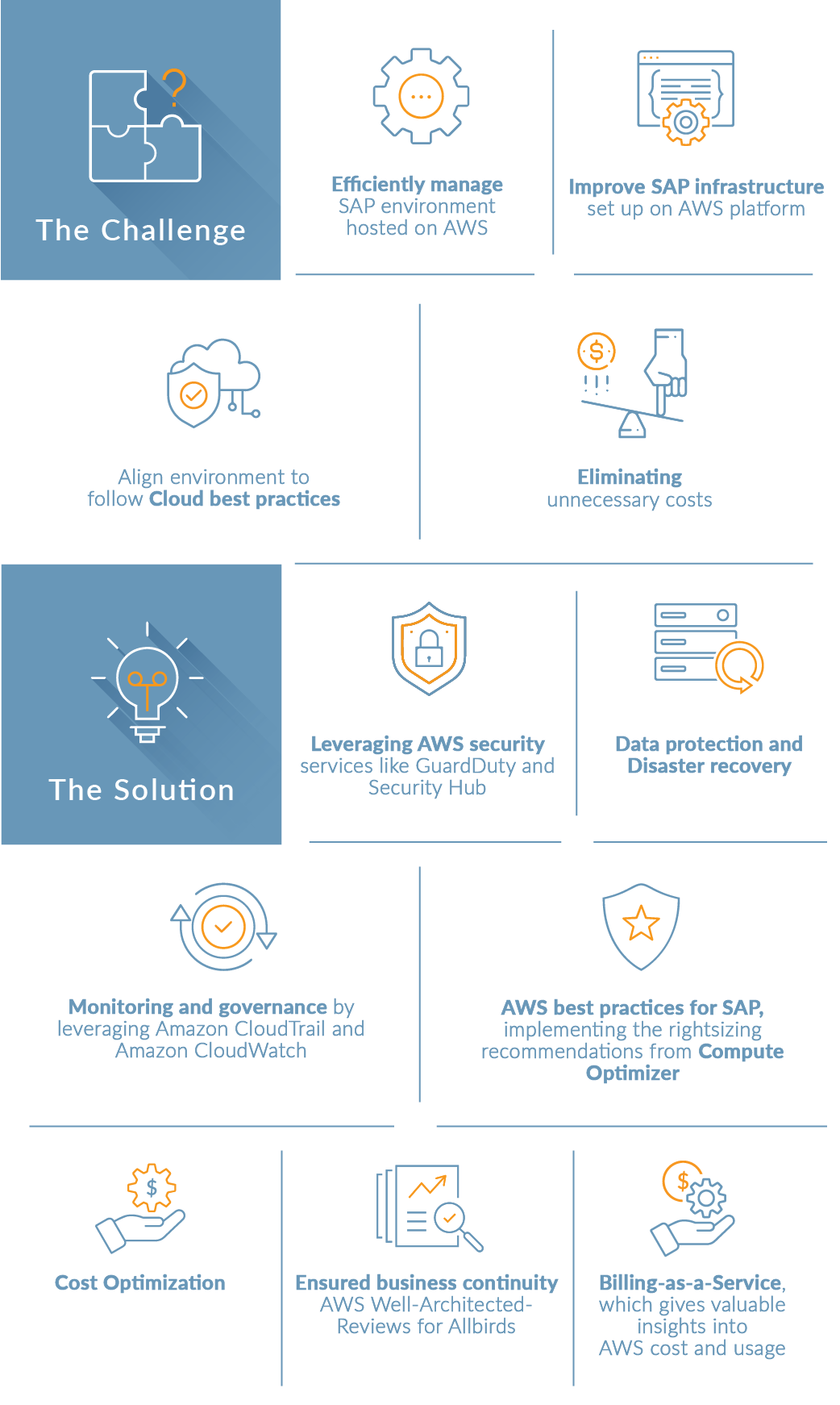 aws-ss-allbirds-infographic