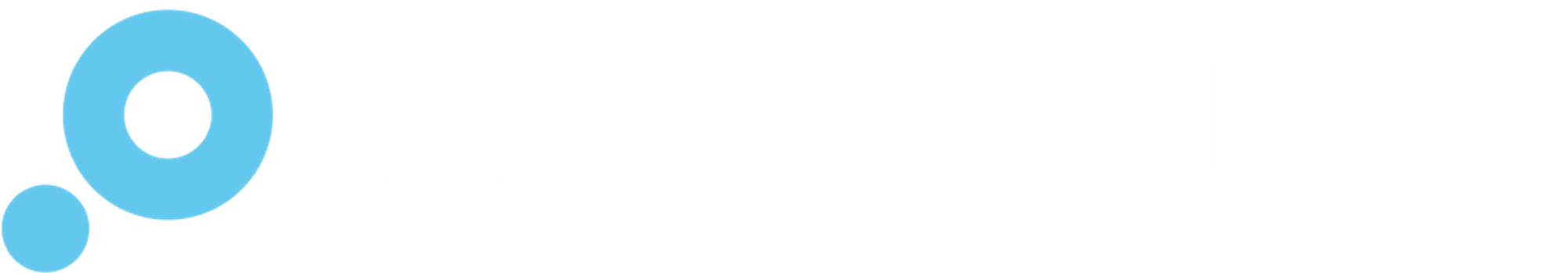 Payroll Minds Logo