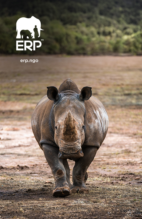 erp-image-1 erp-image-1
