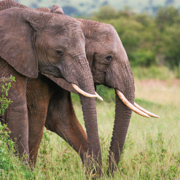 EAM-erp-image EAM-erp-image